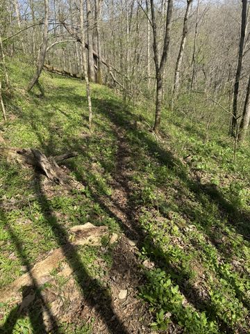 0 McBroom Branch Rd, Baxter, TN 38544