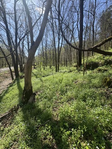 0 McBroom Branch Rd, Baxter, TN 38544