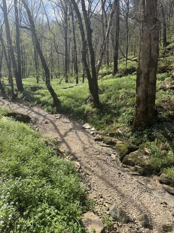 0 McBroom Branch Rd, Baxter, TN 38544