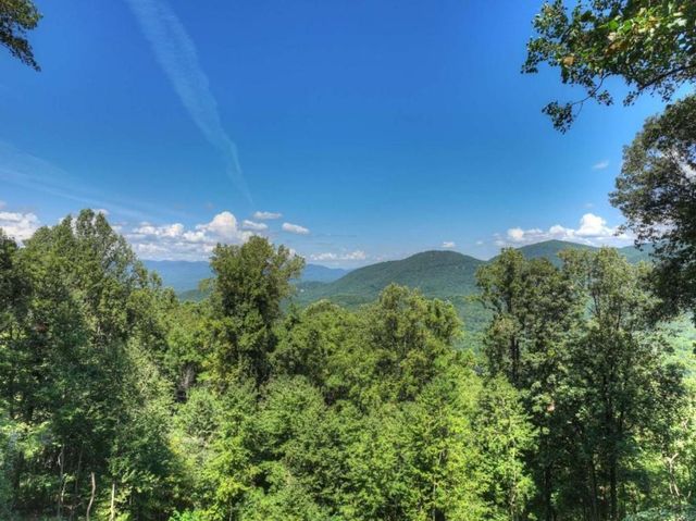 917 Walnut Ridge, Ellijay, GA 30536