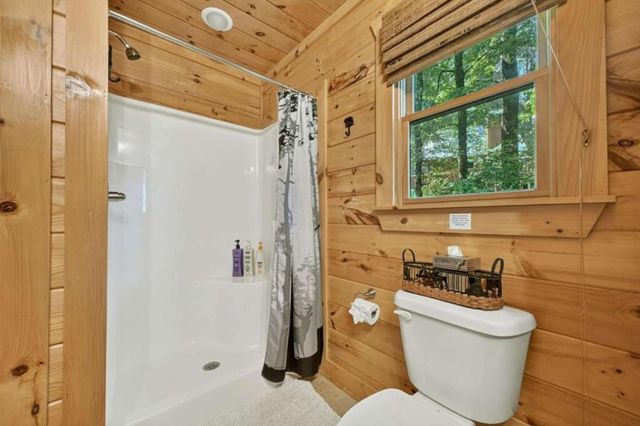 917 Walnut Ridge, Ellijay, GA 30536