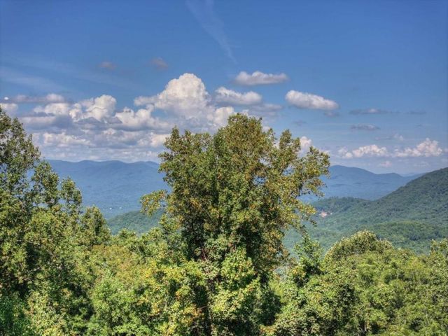 917 Walnut Ridge, Ellijay, GA 30536