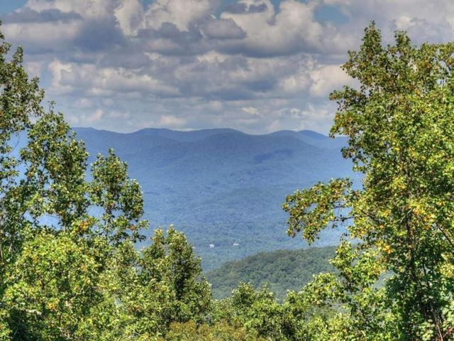 917 Walnut Ridge, Ellijay, GA 30536