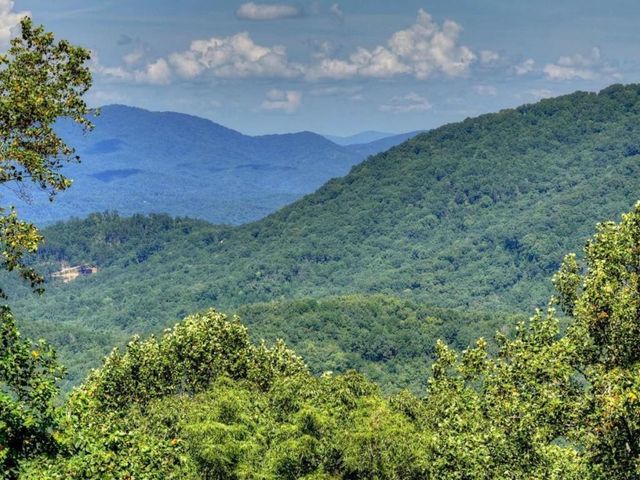 917 Walnut Ridge, Ellijay, GA 30536