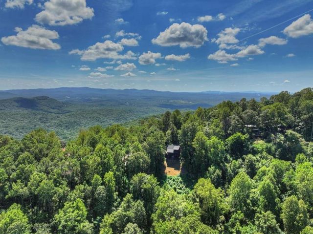 917 Walnut Ridge, Ellijay, GA 30536