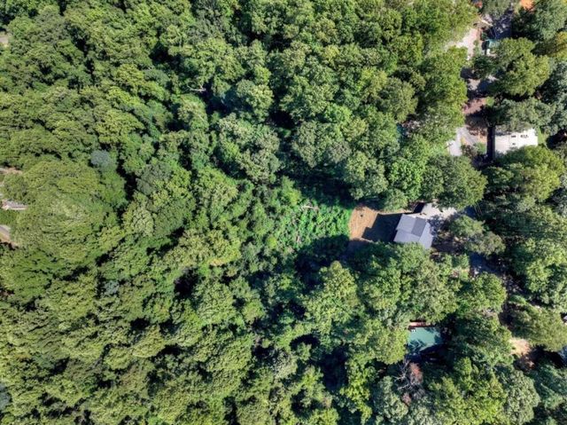 917 Walnut Ridge, Ellijay, GA 30536