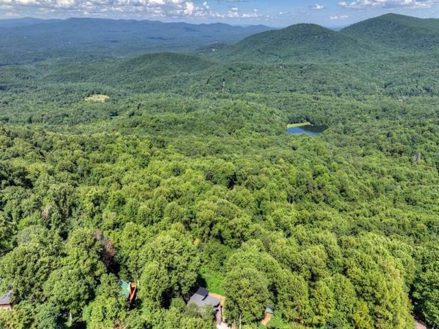 917 Walnut Ridge, Ellijay, GA 30536