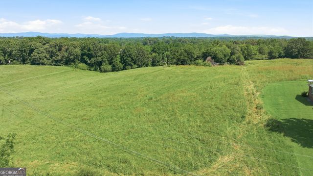 0 Double Bridge Connector LOT 1, Demorest, GA 30535