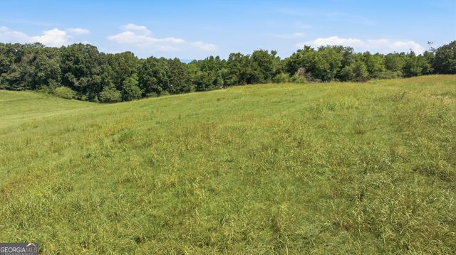 0 Double Bridge Connector LOT 1, Demorest, GA 30535