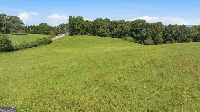 0 Double Bridge Connector LOT 1, Demorest, GA 30535