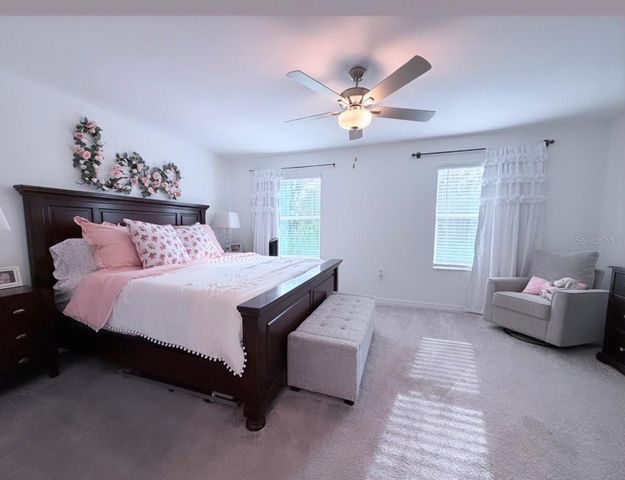 6047 ACARA LANE, Land O Lakes, FL 34638