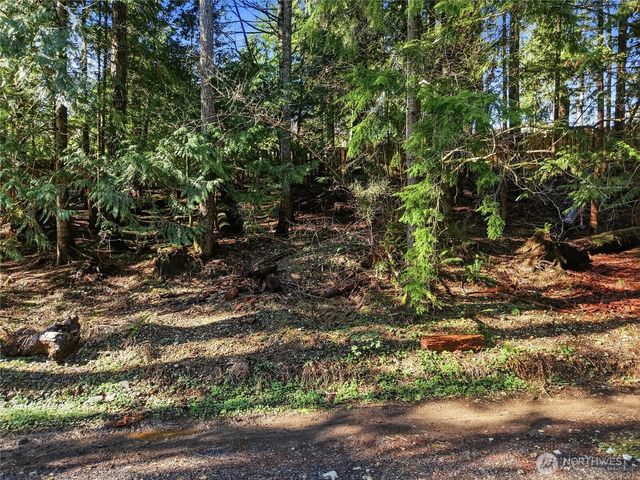 101 E Errigal Place, Shelton, WA 98584