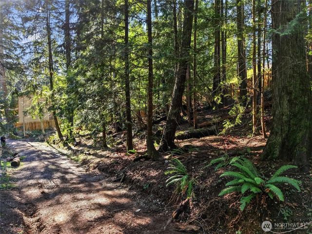 101 E Errigal Place, Shelton, WA 98584