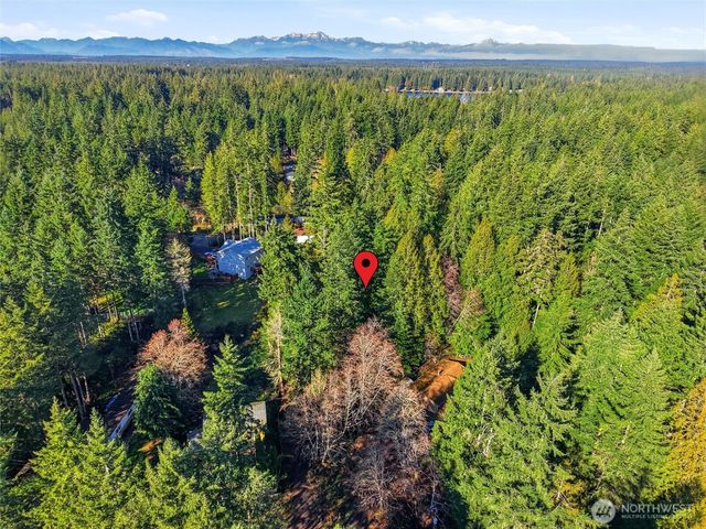 101 E Errigal Place, Shelton, WA 98584