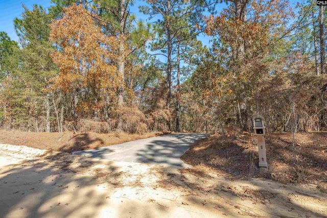 405 Frank Moorer Drive, Swansea, SC 29160