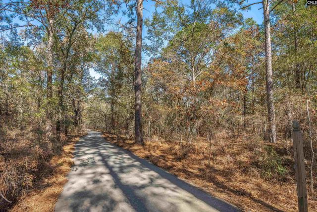 405 Frank Moorer Drive, Swansea, SC 29160