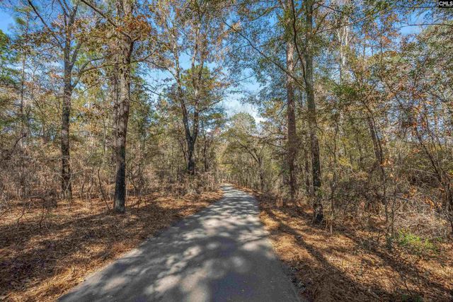 405 Frank Moorer Drive, Swansea, SC 29160