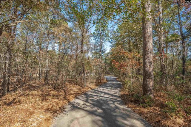 405 Frank Moorer Drive, Swansea, SC 29160