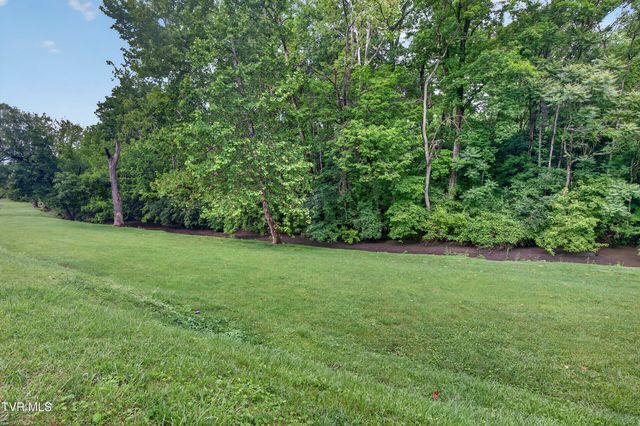 221 Mumpower Drive, Bristol, VA 24201