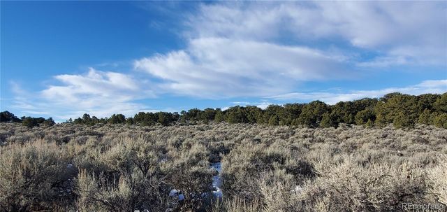 Lot 7265 Tiernan Road, Fort Garland, CO 81133