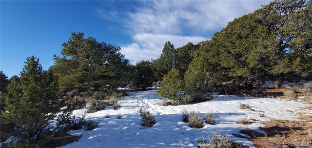 Lot 7265 Tiernan Road, Fort Garland, CO 81133