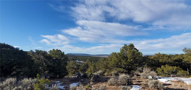 Lot 7265 Tiernan Road, Fort Garland, CO 81133