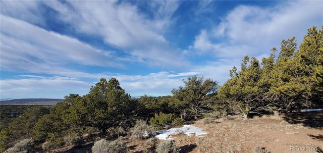 Lot 7265 Tiernan Road, Fort Garland, CO 81133