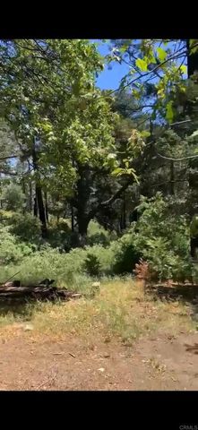 0 Burnt Creek Canyon Road, Cedarpines Park, CA 92322
