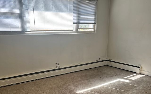 214 S Oak Park Avenue S 5, Oak Park, IL 60302
