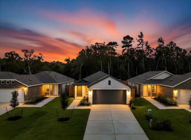 20931 San Felice Lane, New Caney, TX 77357