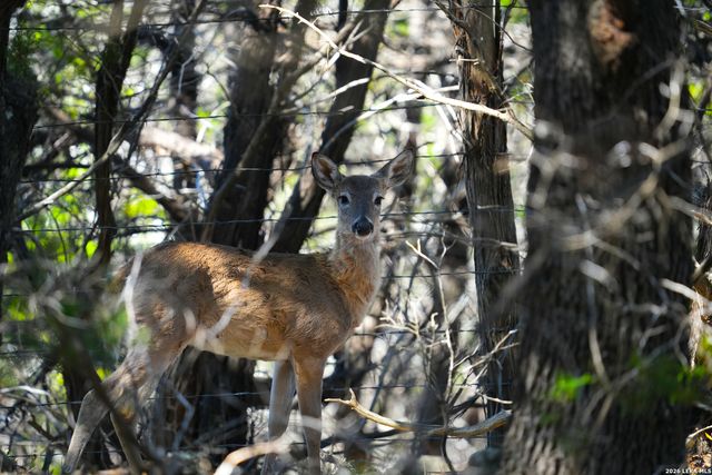 713 Lake Forest Rd., Pipe Creek, TX 78063