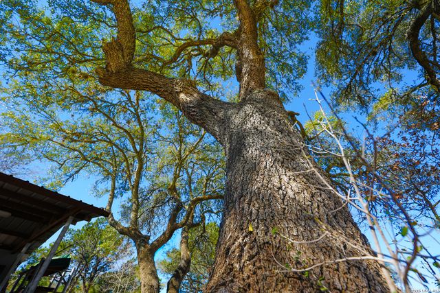 713 Lake Forest Rd., Pipe Creek, TX 78063