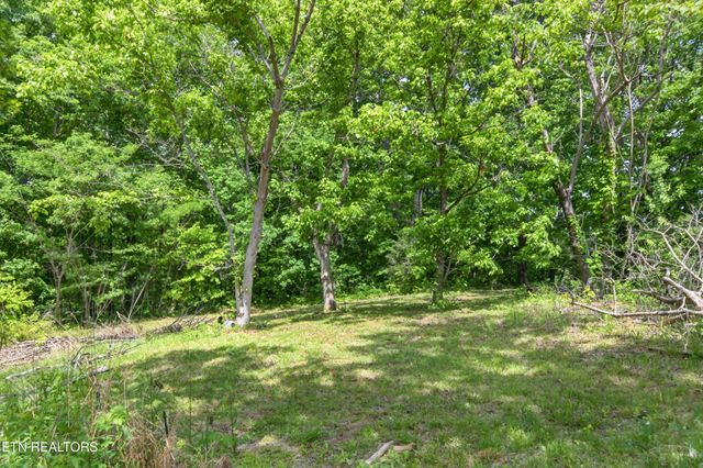 1161 Charlie Doss Rd, Jamestown, TN 38556