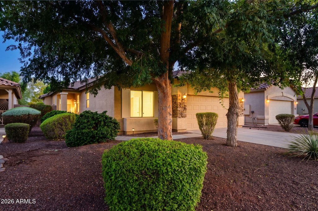 12533 W BIRD Lane, Litchfield Park, AZ 85340 — photo 2