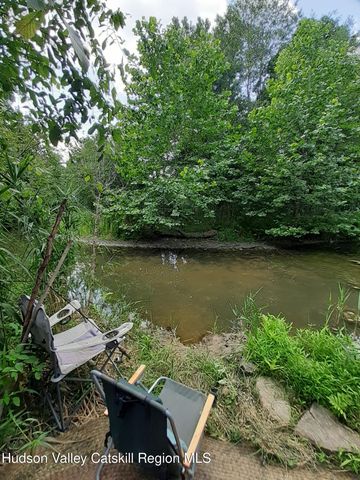 5 Woodpecker Court, Athens, NY 12015