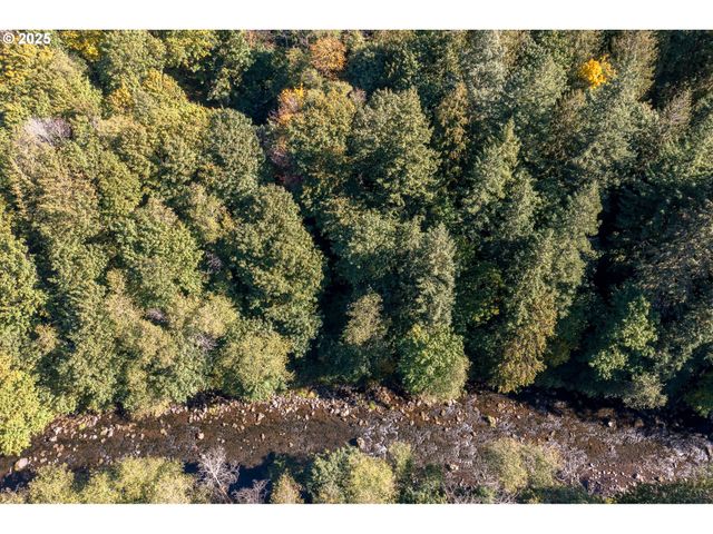 29409 E EDGEWATER Dr, Welches, OR 97067