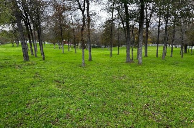 197 Colorado DR, Cedar Creek, TX 78612