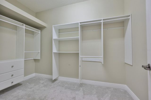 808 RIVER HAMMOCK BOULEVARD, Brandon, FL 33511