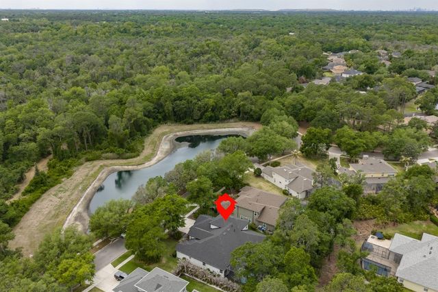 808 RIVER HAMMOCK BOULEVARD, Brandon, FL 33511