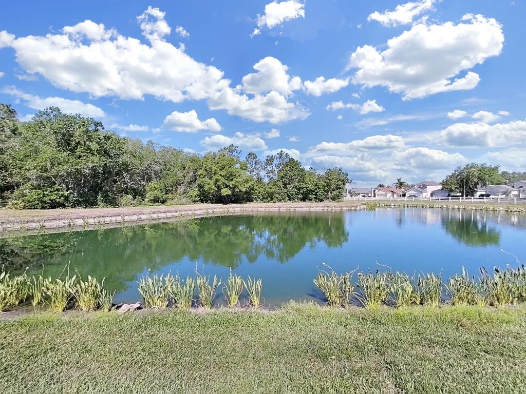 Image 46 of property listing at 30612 NICKERSON LOOP, Wesley Chapel, FL 33543