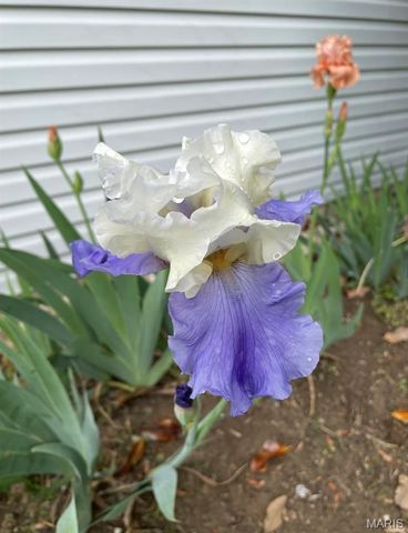 1006 St. Andrews, Union, MO 63084