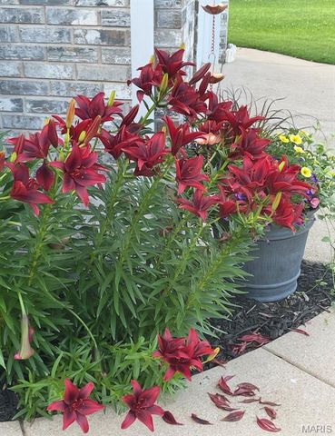 1006 St. Andrews, Union, MO 63084