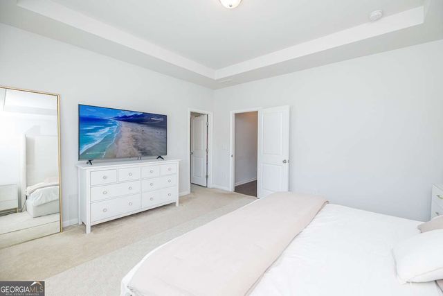 4343 Colorado Fir Alley, Doraville, GA 30360