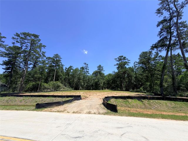 352 Louvenia Court, Pinehurst, TX 77362