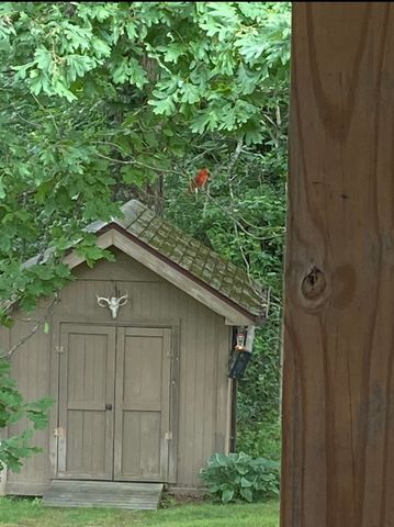 1006 Twin Oaks Dr, White Bluff, TN 37187