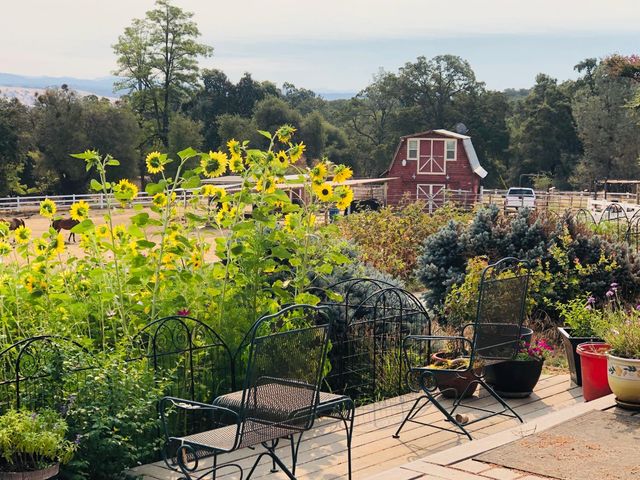 4770 Pedro Hill Rd, Pilot Hill, CA 95664