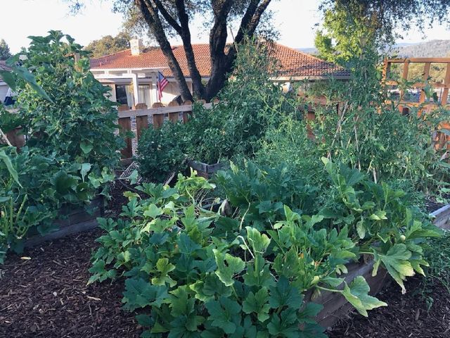 4770 Pedro Hill Rd, Pilot Hill, CA 95664