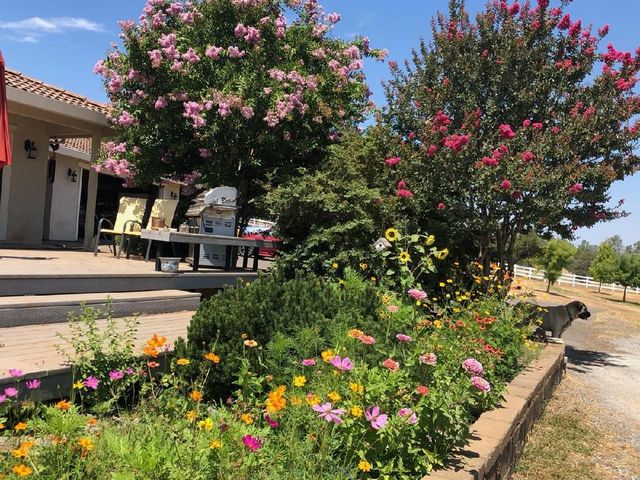 4770 Pedro Hill Rd, Pilot Hill, CA 95664