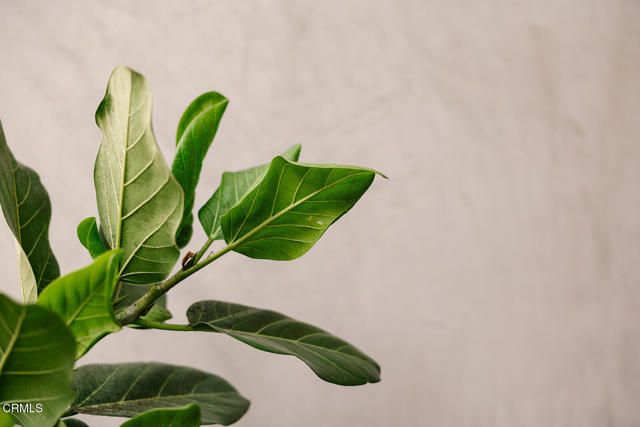 124 W Colorado Street 404, Glendale, CA 91204