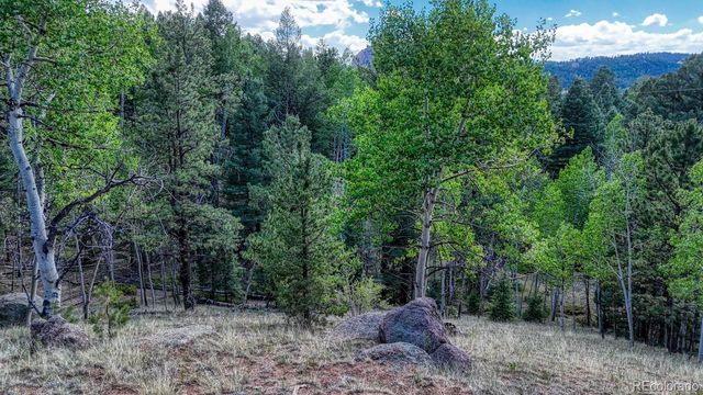 783 Bennett Drive, Cripple Creek, CO 80813